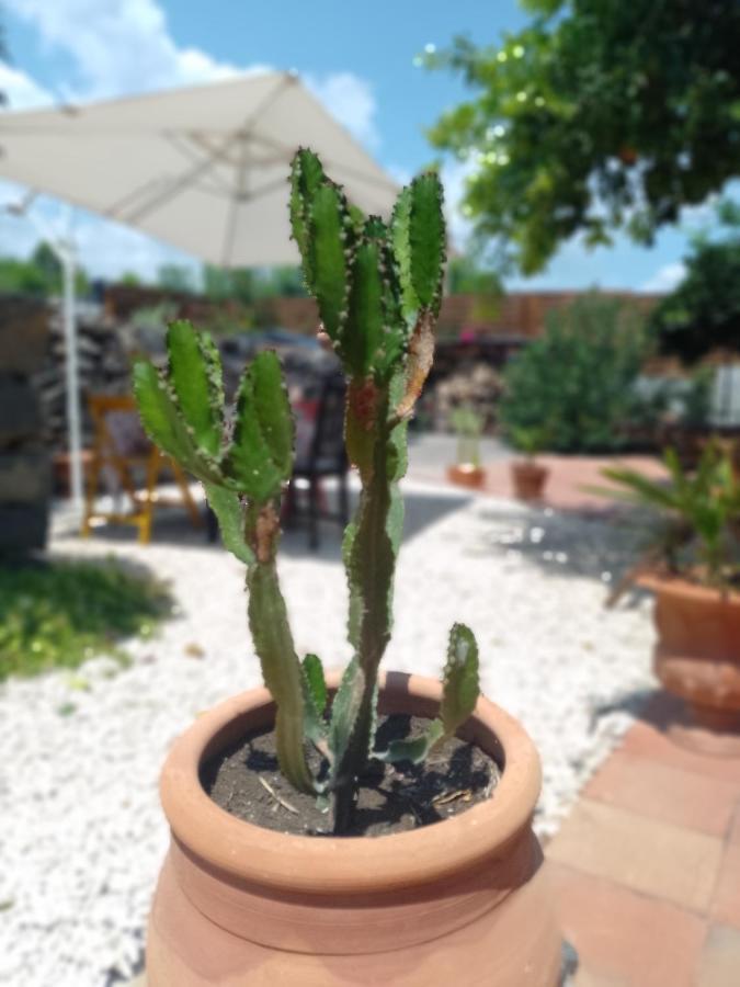 B&B Casanera Riposto Eksteriør billede